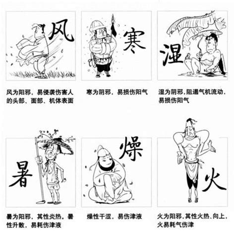 邪氣的人|《中醫詞典》解釋「邪氣」的意思